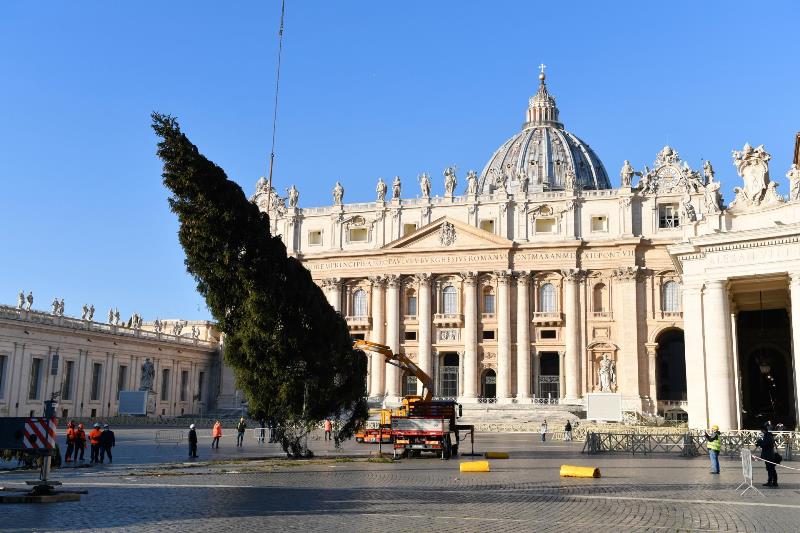 albero natale piazza san pietro
