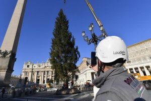 albero natale piazza san pietro