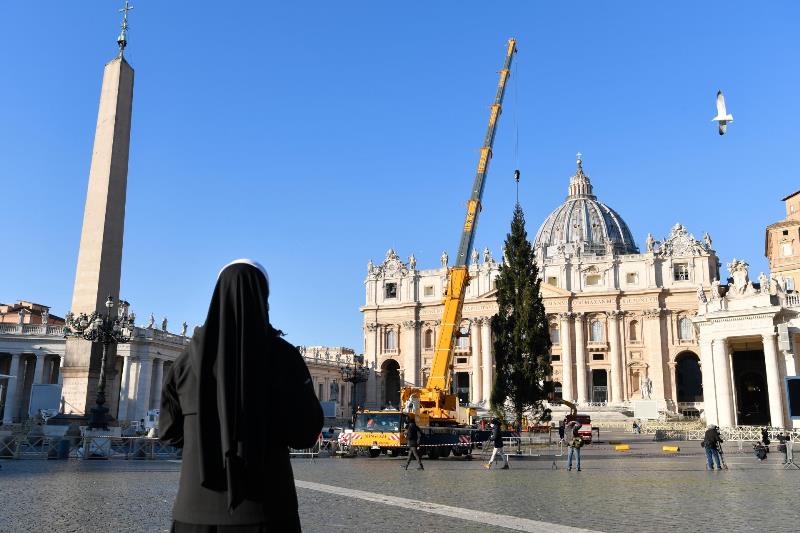 albero natale piazza san pietro