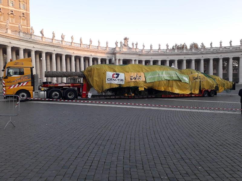 albero natale piazza san pietro