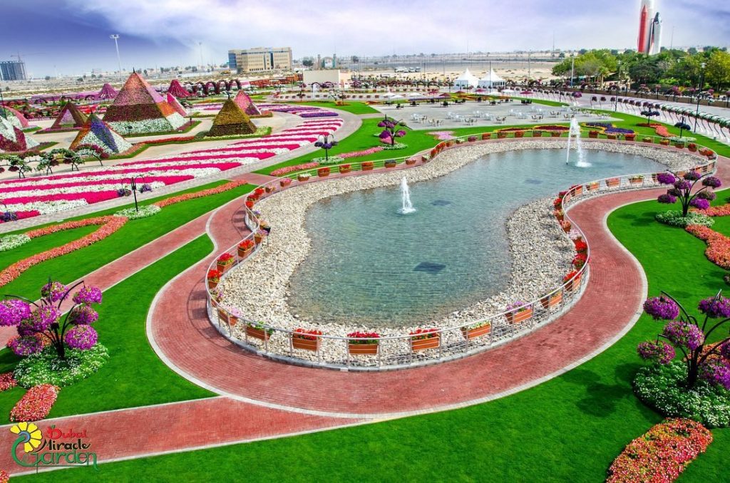 dubai miracle garden.lago
