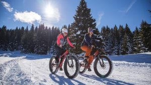 fat bike