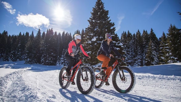 fat bike