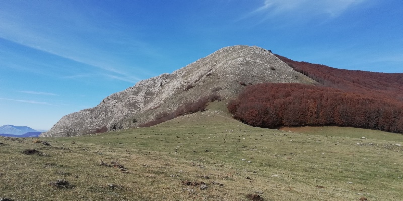 foliage Appennino Lucano