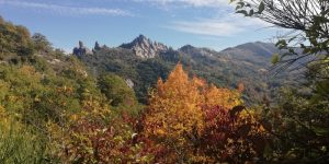 foliage Appennino Lucano