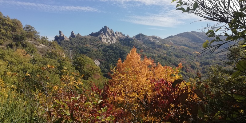 foliage Appennino Lucano
