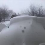 Maltempo, violenta tempesta invernale con neve e pioggia gelata nelle Praterie Canadesi: blizzard seppelliscono le auto [FOTO e VIDEO]