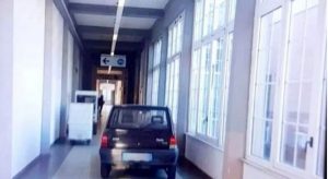 panda ospedale