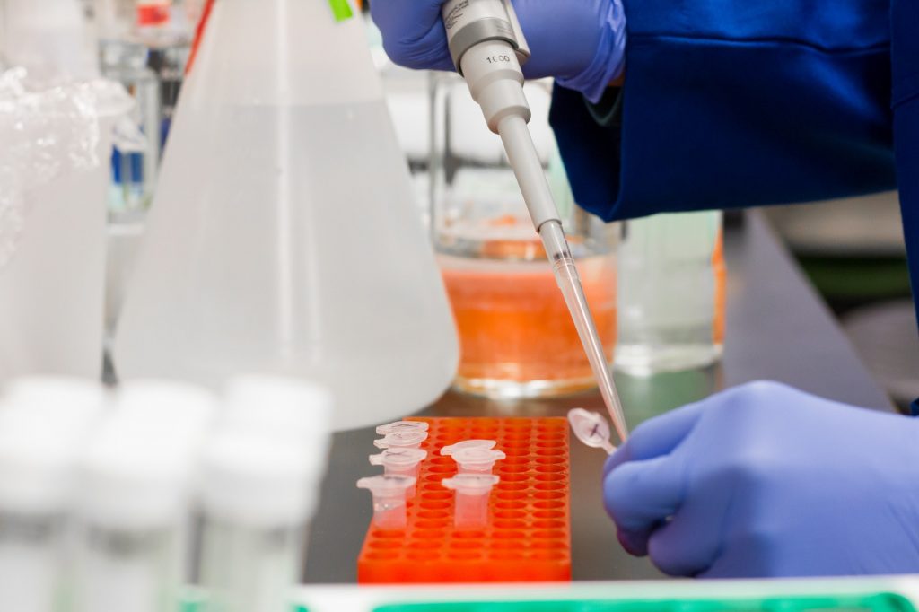 policlinico gemelli roma