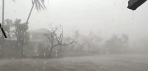 filippine tifone goni