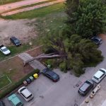 Maltempo, temporali e forti venti in Puglia: scirocco a 100km/h, mareggiate e alberi abbattuti nel Tarantino [FOTO]