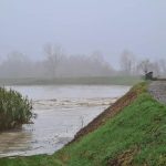 Maltempo, superati i 650mm di pioggia in Valcellina: fiumi esondati, dramma alluvione. Allarme per le piene di Adige, Piave e Isonzo [FOTO]