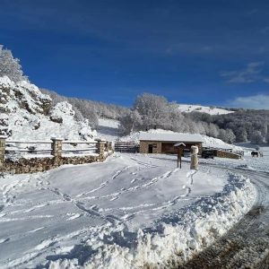 campo staffi