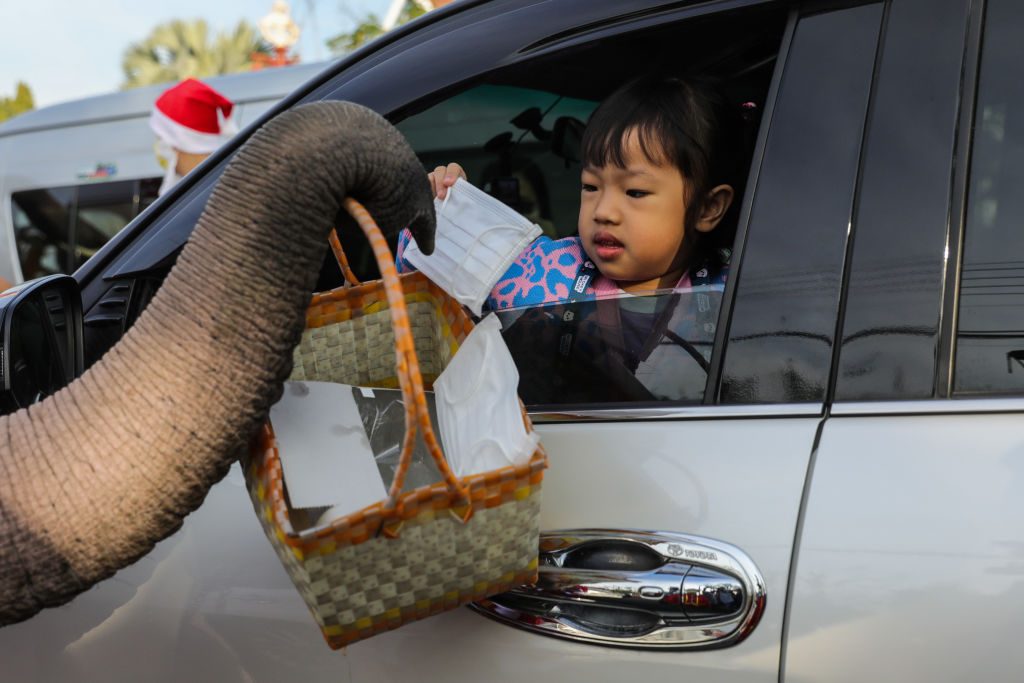 festività di dicembre in tutto il mondo elefanti babbo natale thailandia