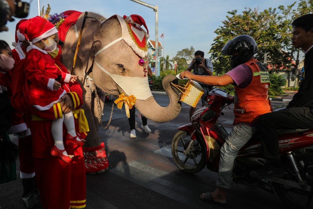 festività di dicembre in tutto il mondo elefanti babbo natale thailandia