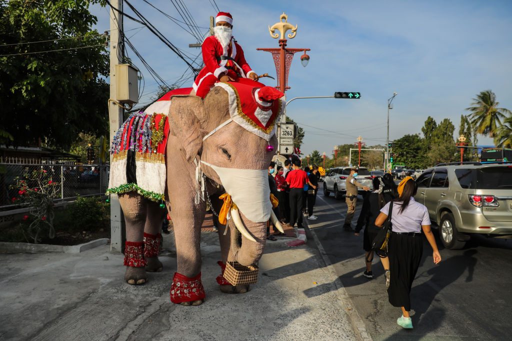 festività di dicembre in tutto il mondo elefanti babbo natale thailandia