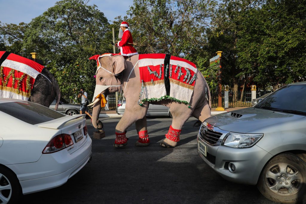 festività di dicembre in tutto il mondo elefanti babbo natale thailandia