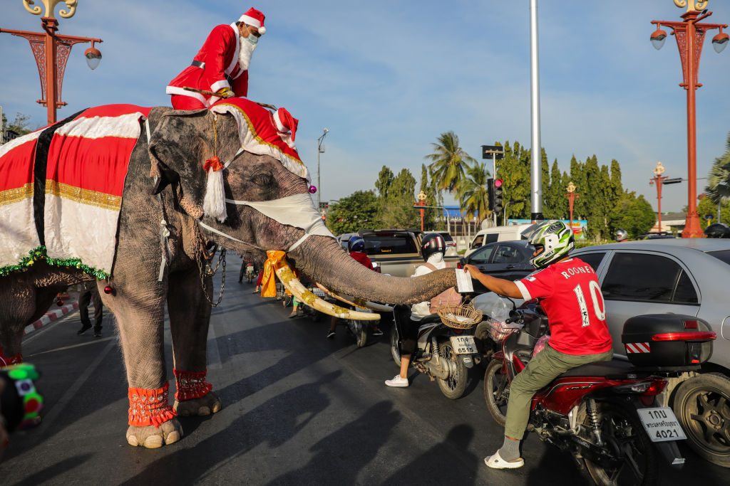 festività di dicembre in tutto il mondo elefanti babbo natale thailandia
