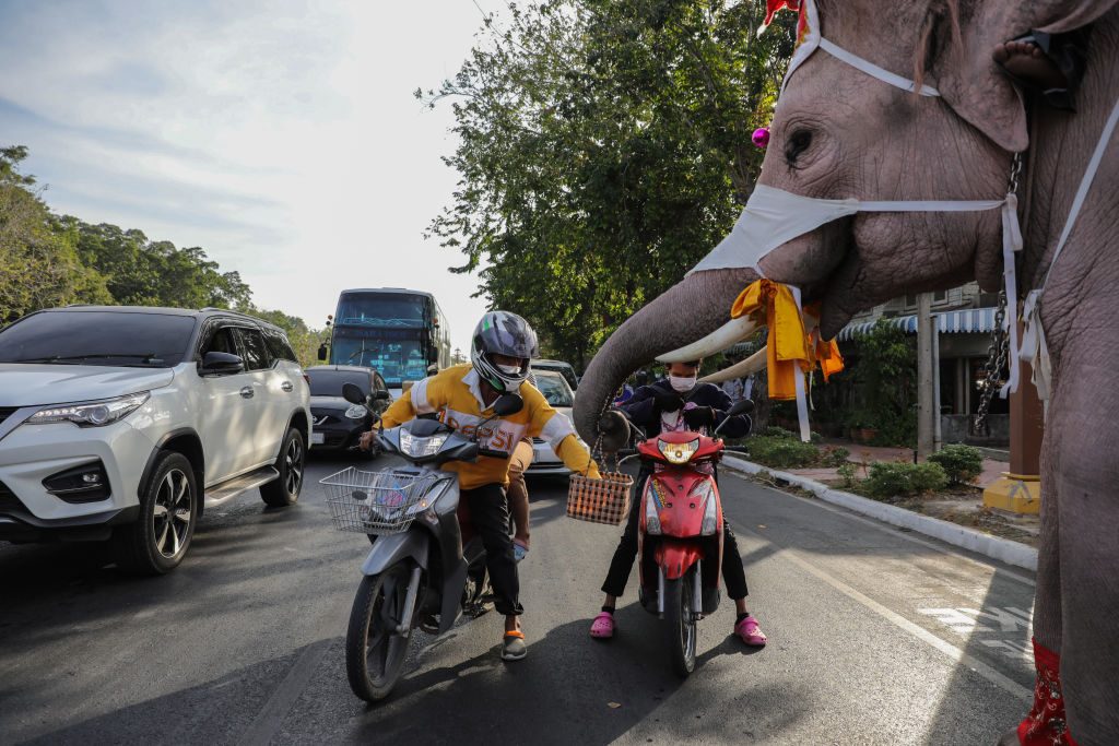 festività di dicembre in tutto il mondo elefanti babbo natale thailandia
