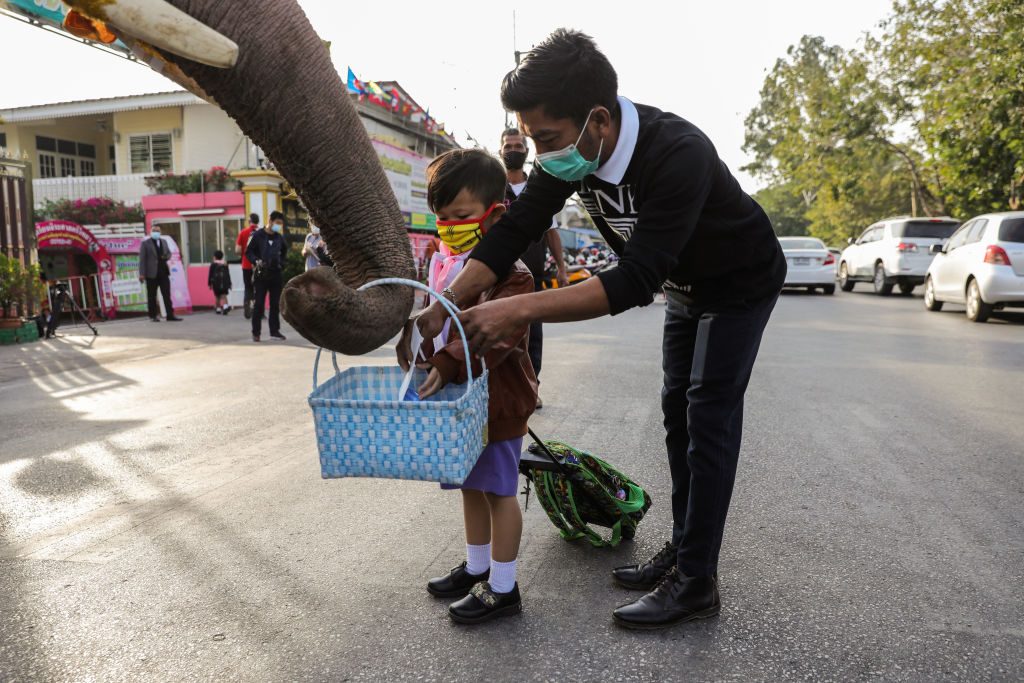 festività di dicembre in tutto il mondo elefanti babbo natale thailandia
