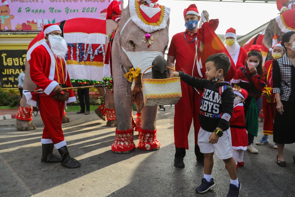 festività di dicembre in tutto il mondo elefanti babbo natale thailandia