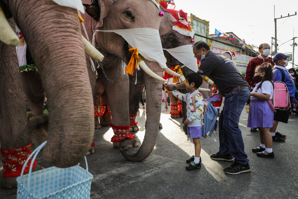 festività di dicembre in tutto il mondo elefanti babbo natale thailandia