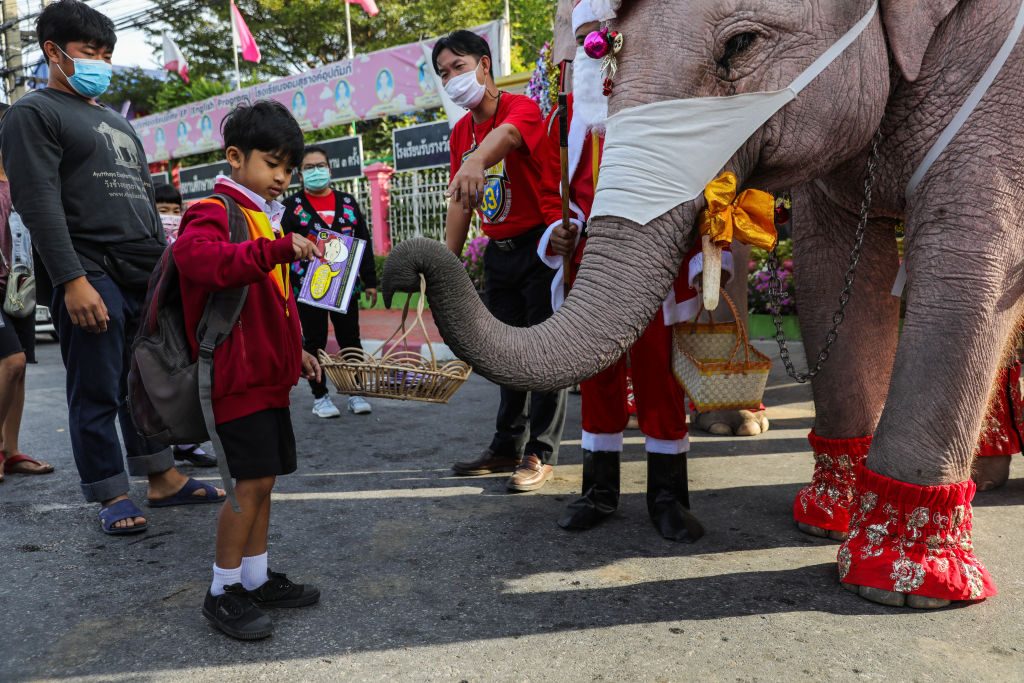 festività di dicembre in tutto il mondo elefanti babbo natale thailandia