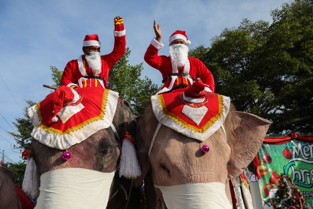festività di dicembre in tutto il mondo elefanti babbo natale thailandia
