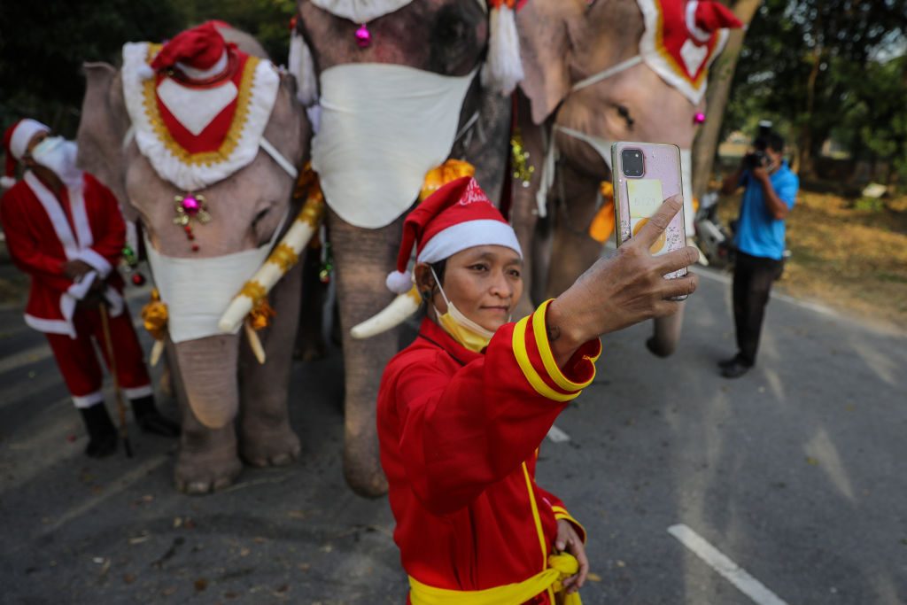 festività di dicembre in tutto il mondo elefanti babbo natale thailandia