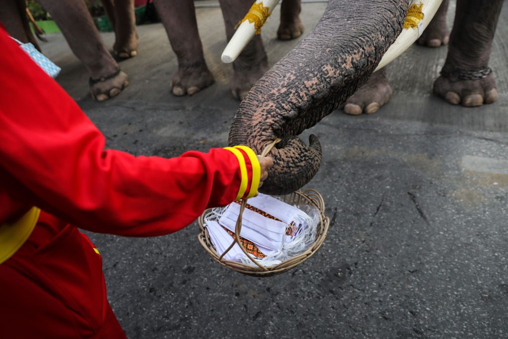 festività di dicembre in tutto il mondo elefanti babbo natale thailandia