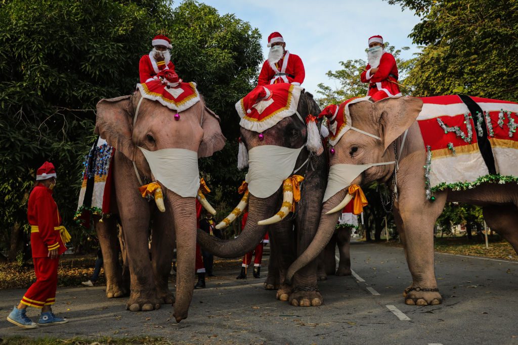 festività di dicembre in tutto il mondo elefanti babbo natale thailandia