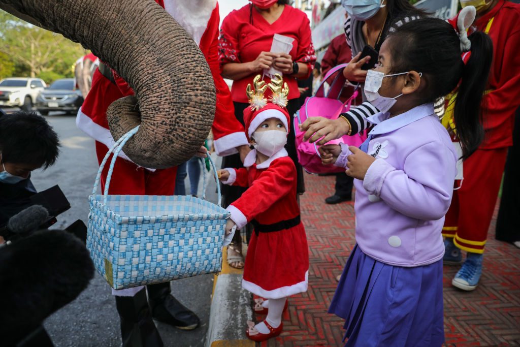 festività di dicembre in tutto il mondo elefanti babbo natale thailandia