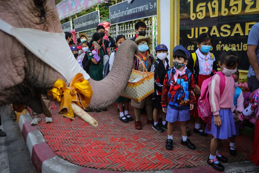 festività di dicembre in tutto il mondo elefanti babbo natale thailandia