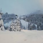 Scenari fiabeschi in alta Valle Brembana, almeno 2 metri di neve a Foppolo [FOTO]