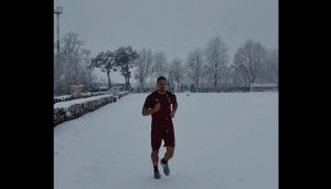 ibrahimovic