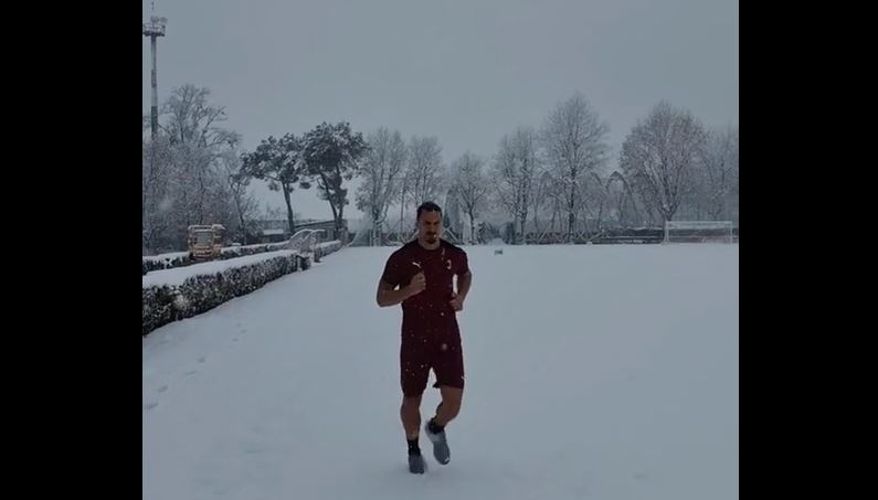 ibrahimovic