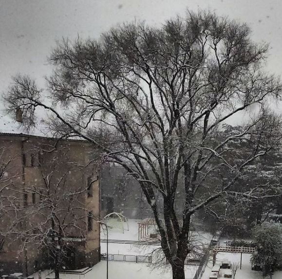 neve bolzano