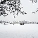 Maltempo Lombardia, oltre 30cm di neve nel Lecchese: le bellissime immagini dalla Brianza [FOTO  e VIDEO]
