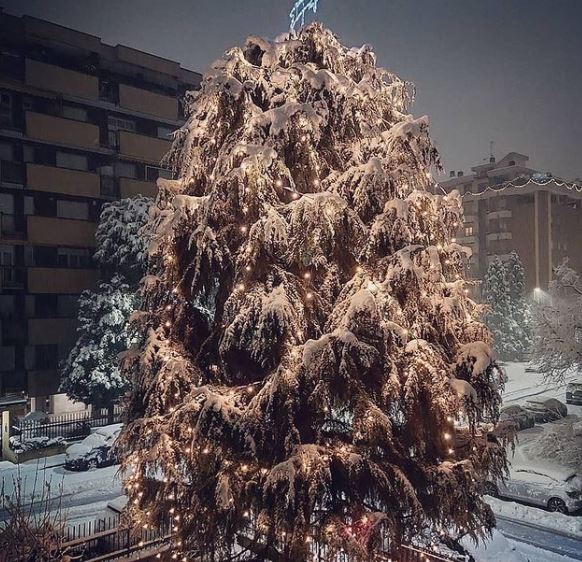 neve milano