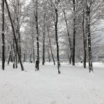 Maltempo e neve in Piemonte, nel Vco la zona dei laghi è la più colpita: 20cm di coltre bianca [FOTO]