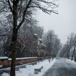 Maltempo Emilia Romagna, tanta neve a Parma: la città è ricoperta di bianco [FOTO]