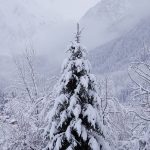 Maltempo, in Lombardia nevica da 72 ore: due metri e mezzo di neve al Tonale [FOTO]