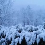 Maltempo, torna la neve in Piemonte: anche Torino si sveglia imbiancata [FOTO]