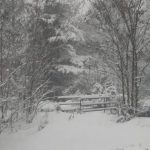 Maltempo, forte nevicata in Trentino Alto Adige: -17°C sui rilievi, Bolzano e Trento si sono risvegliate sotto la neve [FOTO]