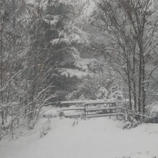 neve trento