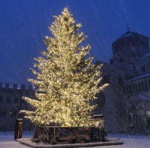 neve trento