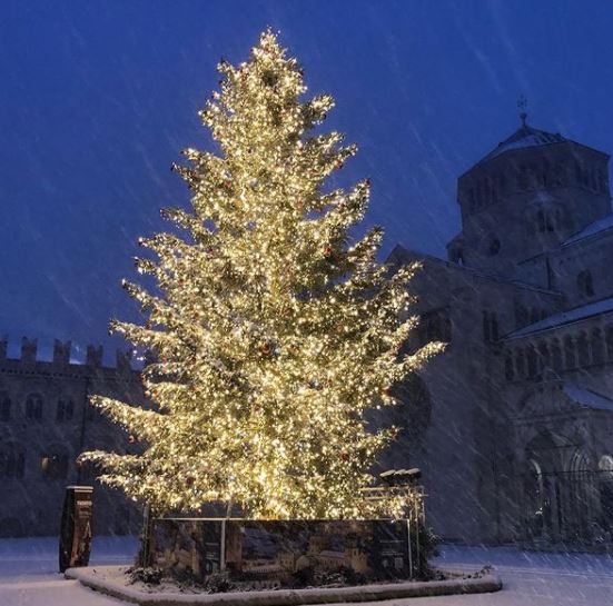 neve trento