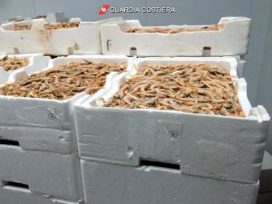 pesca guardia costiera