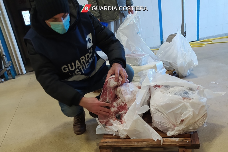 pesca guardia costiera