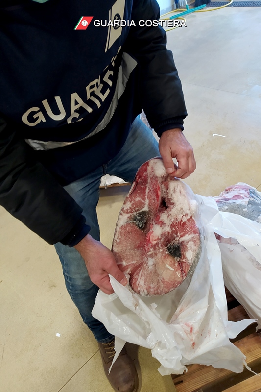 pesca guardia costiera
